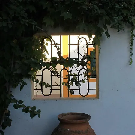 홈스테이 Casa Das Hortenses 토레스노봐스