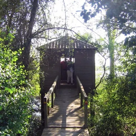 Casa Das Hortenses * Torres Novas