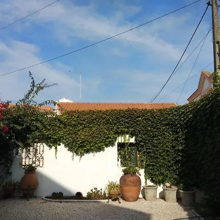 Casa Das Hortenses Homestay